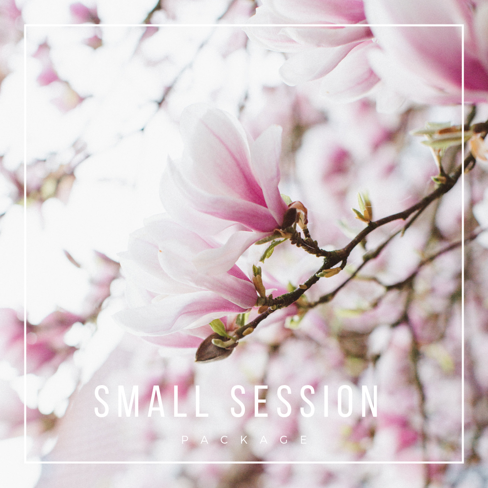 small session (4).png