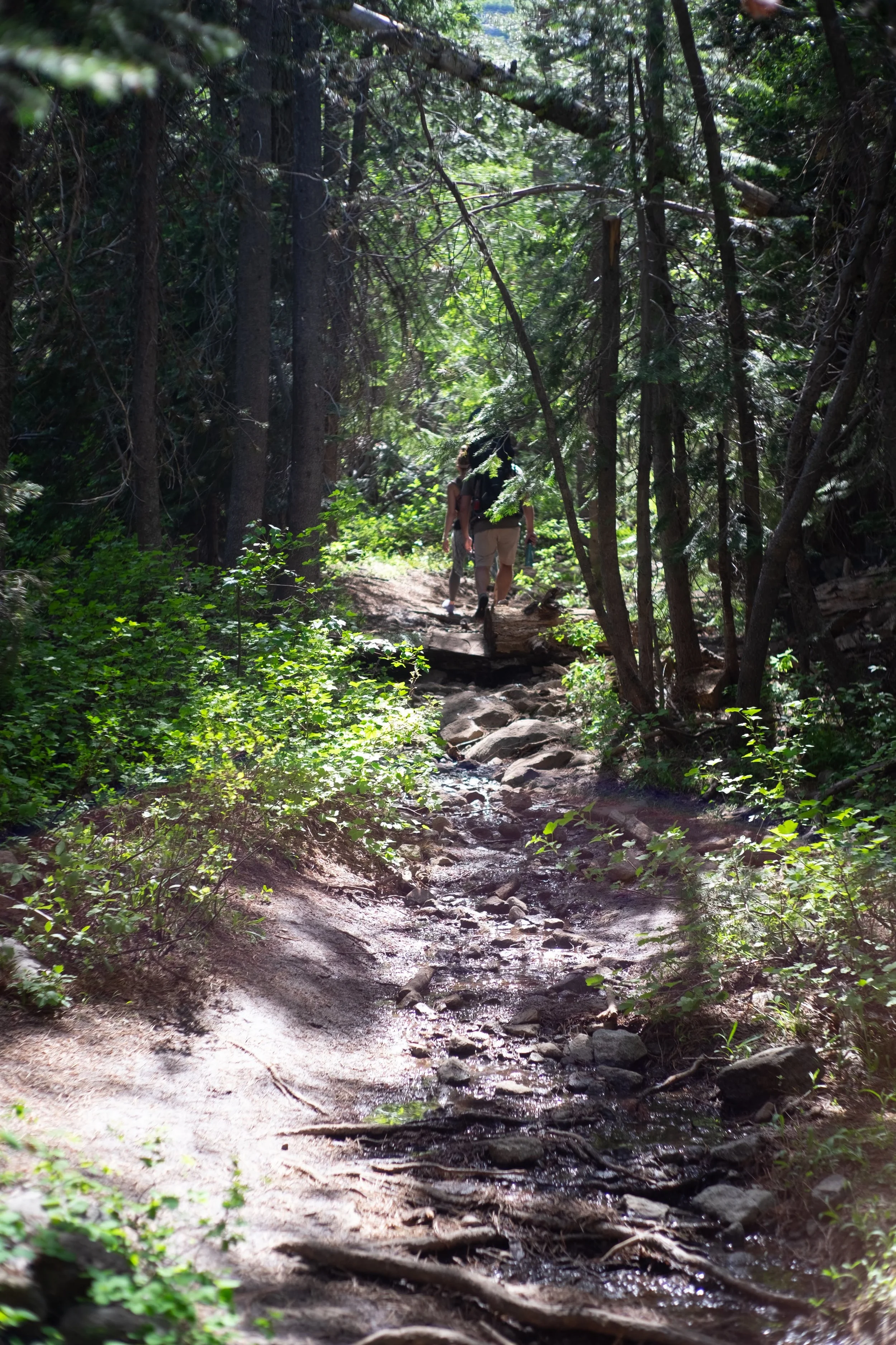 2019_07_Tahoe--Yogi-Mandy-Shawn-Shot_Buckley-Edit_14.jpg