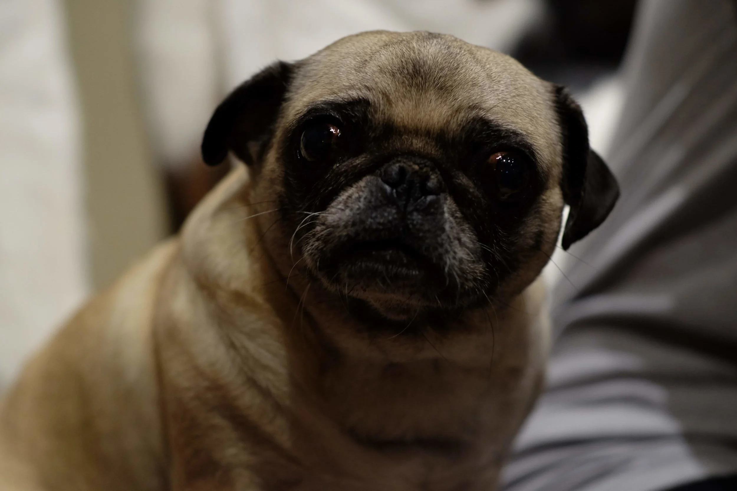 2019_07_Tahoe--Yogi-Mandy-Shawn-Shot_Buckley-Edit_122.jpg