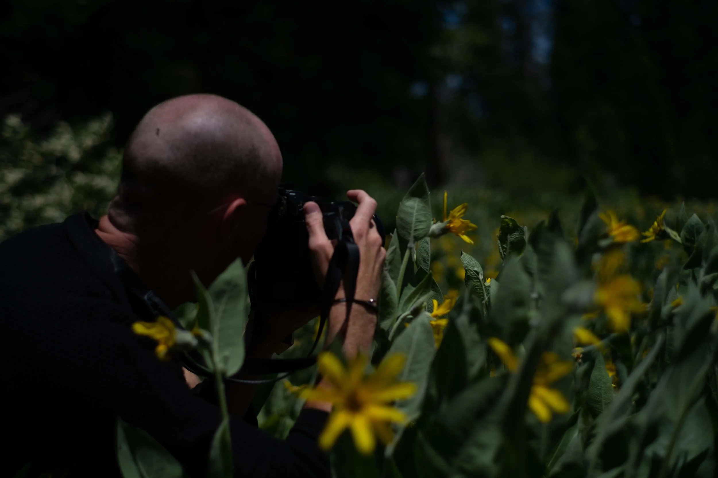 2019_07_Tahoe--Yogi-Mandy-Shawn-Shot_Buckley-Edit_154.jpg