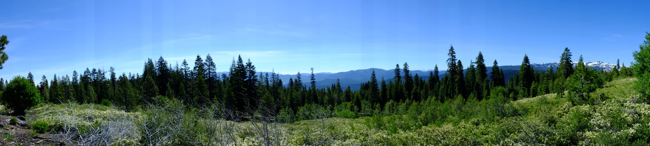 2019_07_Tahoe--Yogi-Mandy-Shawn-Shot_Buckley-Edit_257.jpg