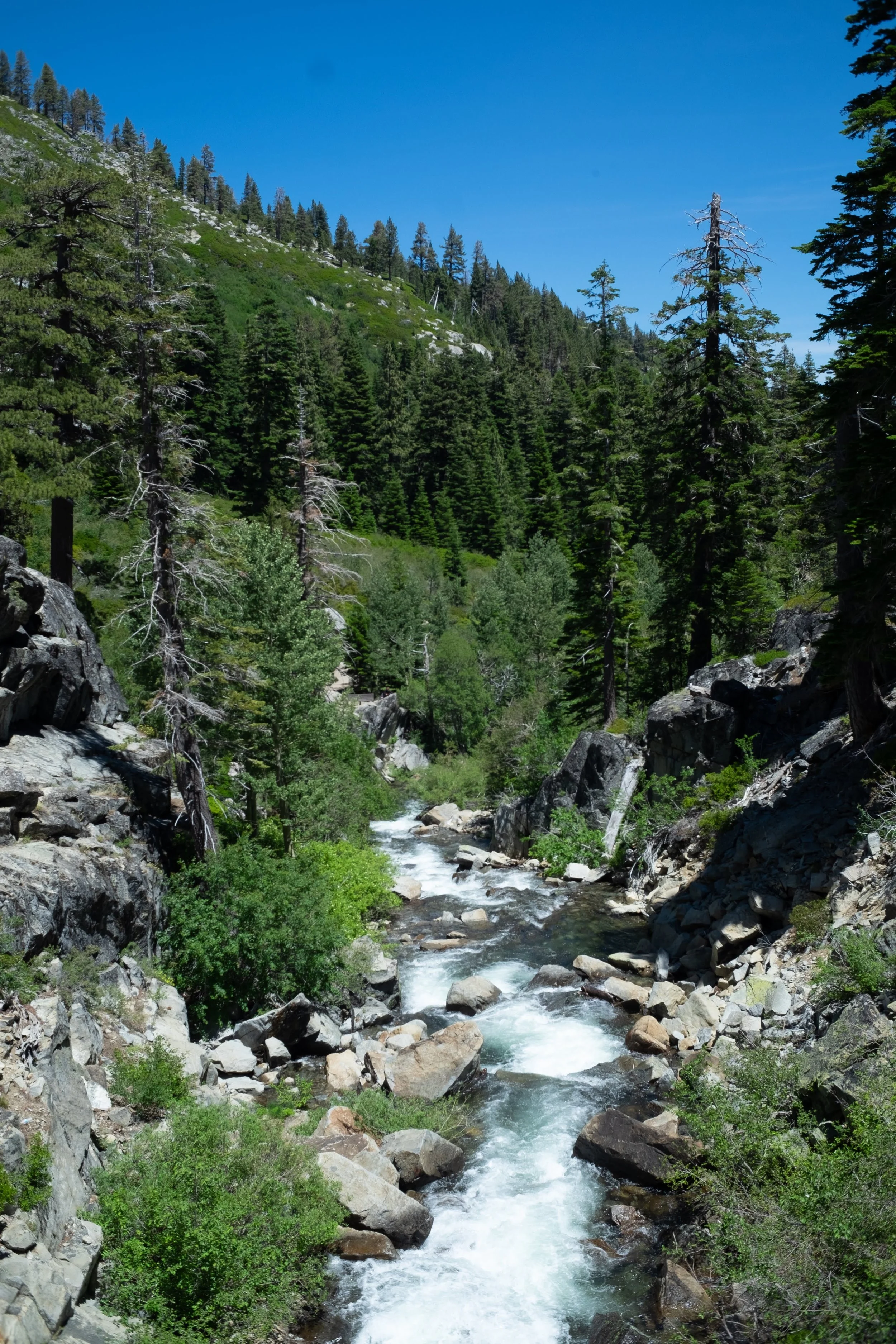 2019_07_Tahoe--Yogi-Mandy-Shawn-Shot_Buckley-Edit_265.jpg
