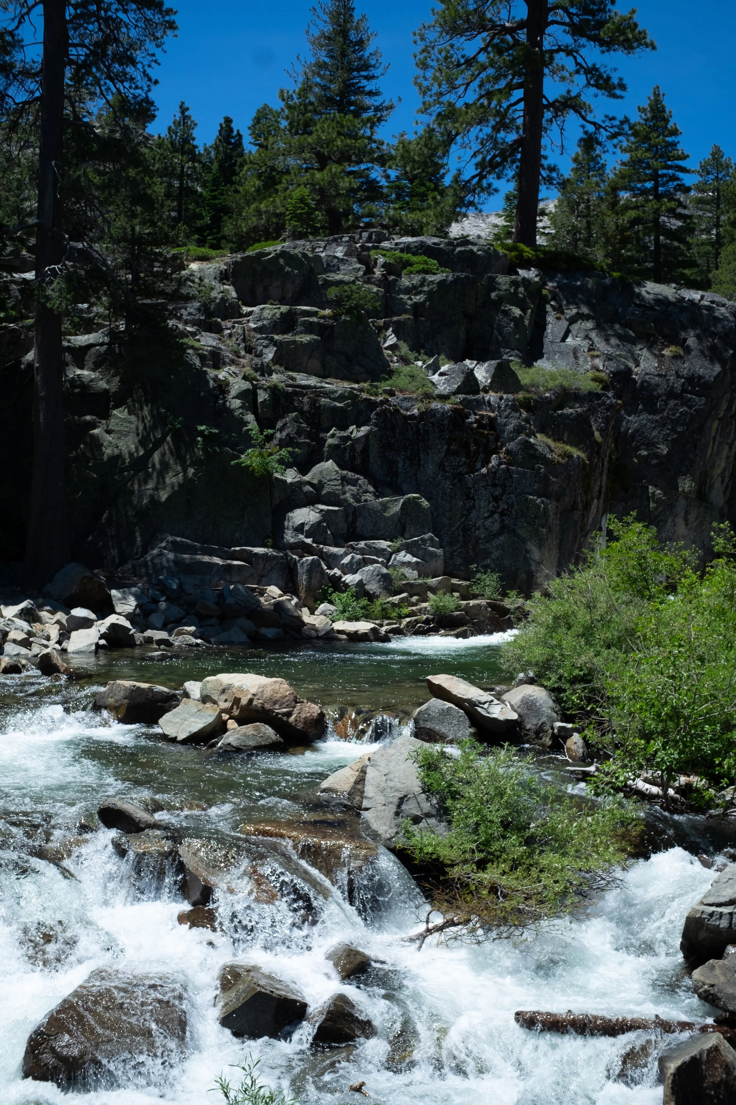2019_07_Tahoe--Yogi-Mandy-Shawn-Shot_Buckley-Edit_267.jpg