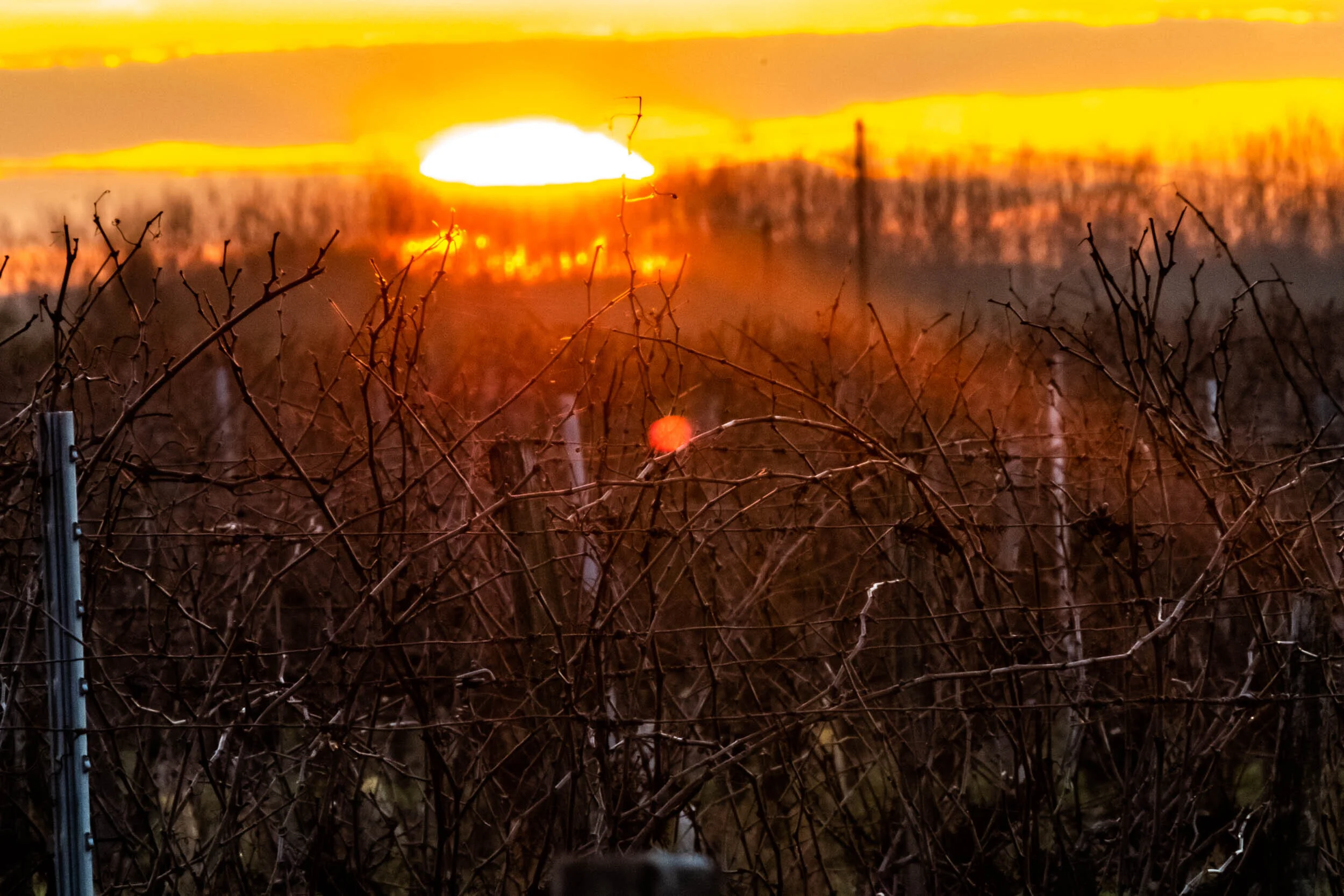 The Summer Solstice