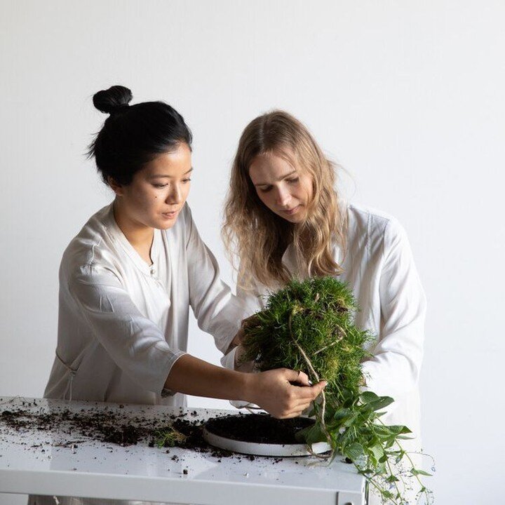 Ikebana, at its core, offers a framework for arranging flowers alongside other natural materials. But it is also so much more than that... &ldquo;Ikebana is the connection between humankind and the natural world&rdquo; &mdash; Amanda Luu ⠀
⠀
Read the