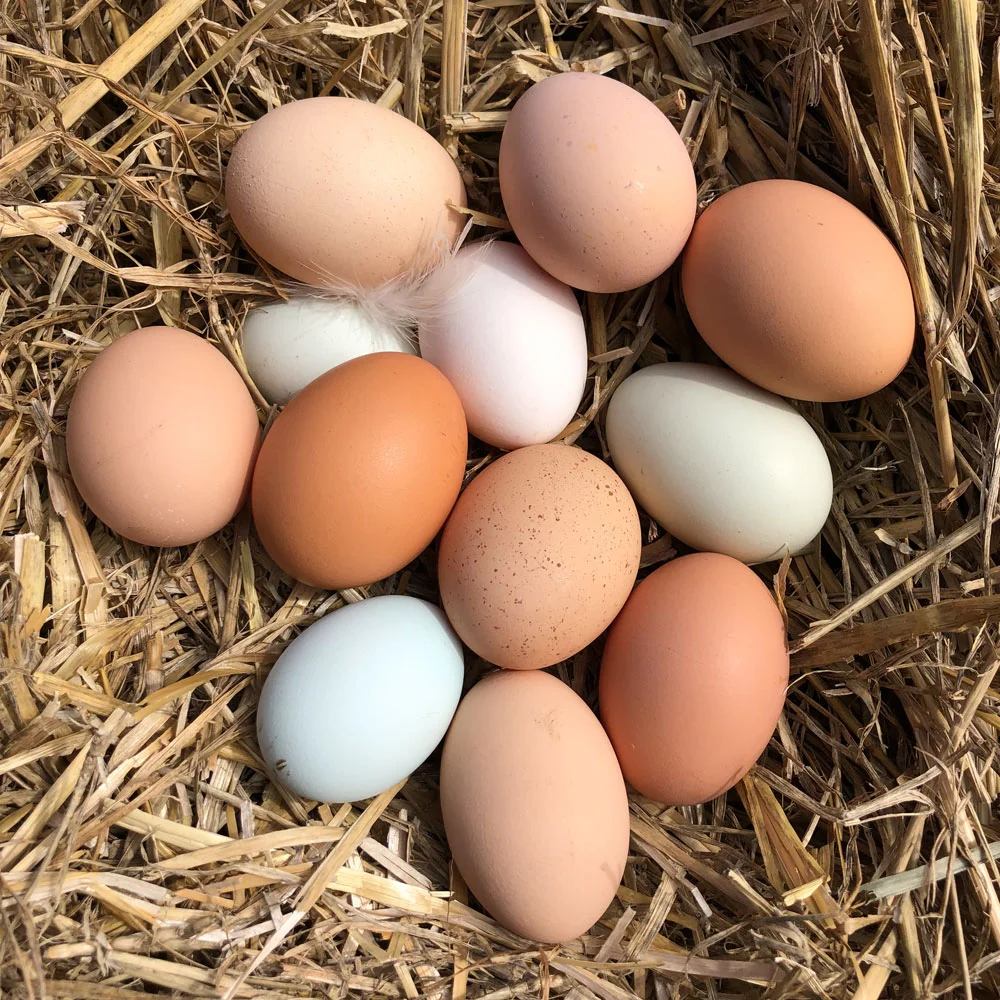 eggs2.jpg