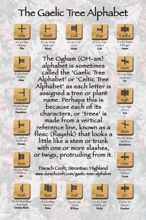The Gaelic Tree Alphabet — Darach Social Croft