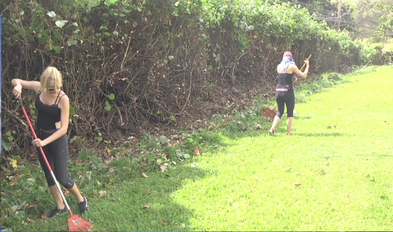 Screen Shot 2019-06-04 at 12.29.57 PM.png