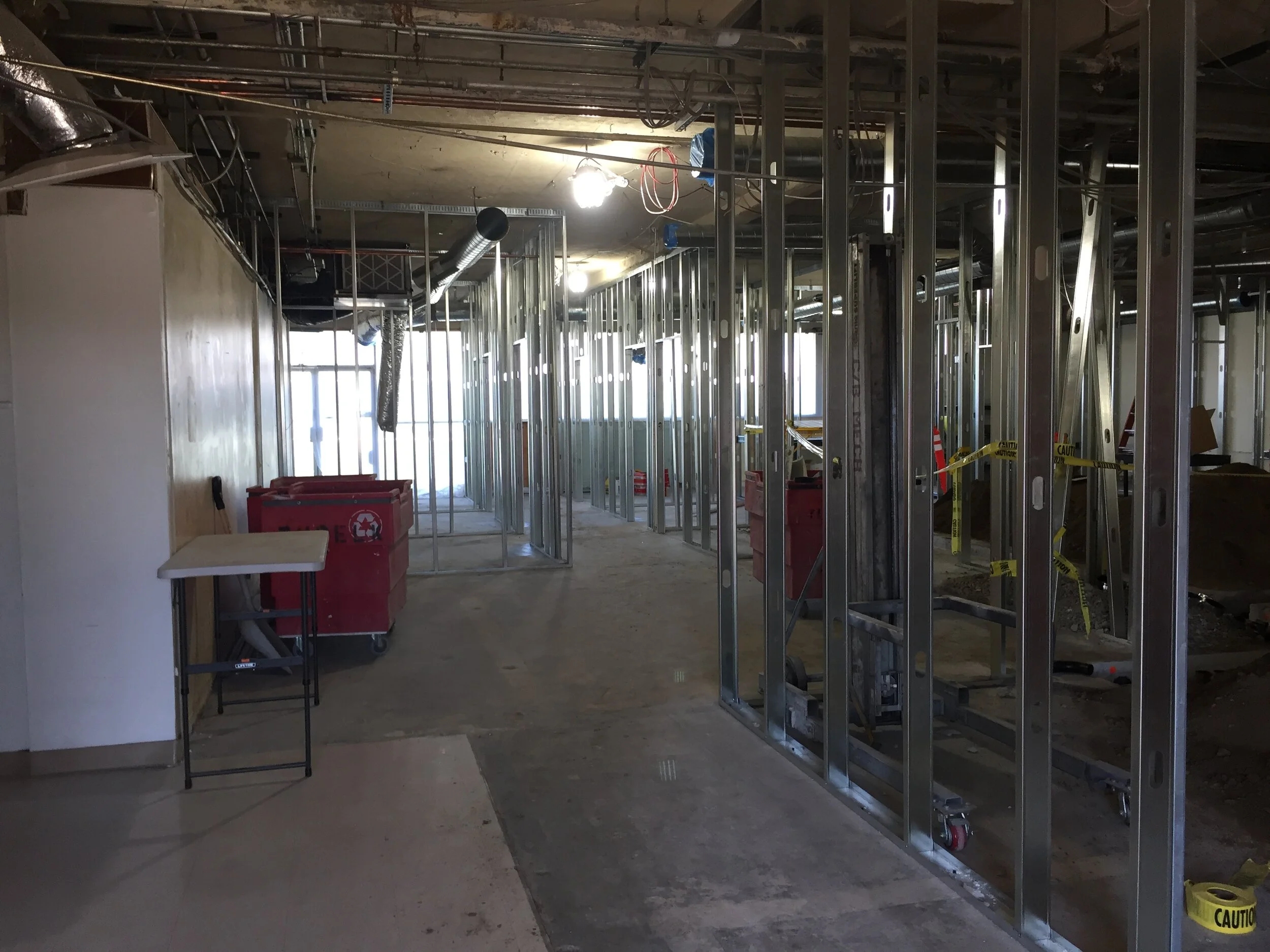 Access Specialty Animal Hospital Augustine Design Group