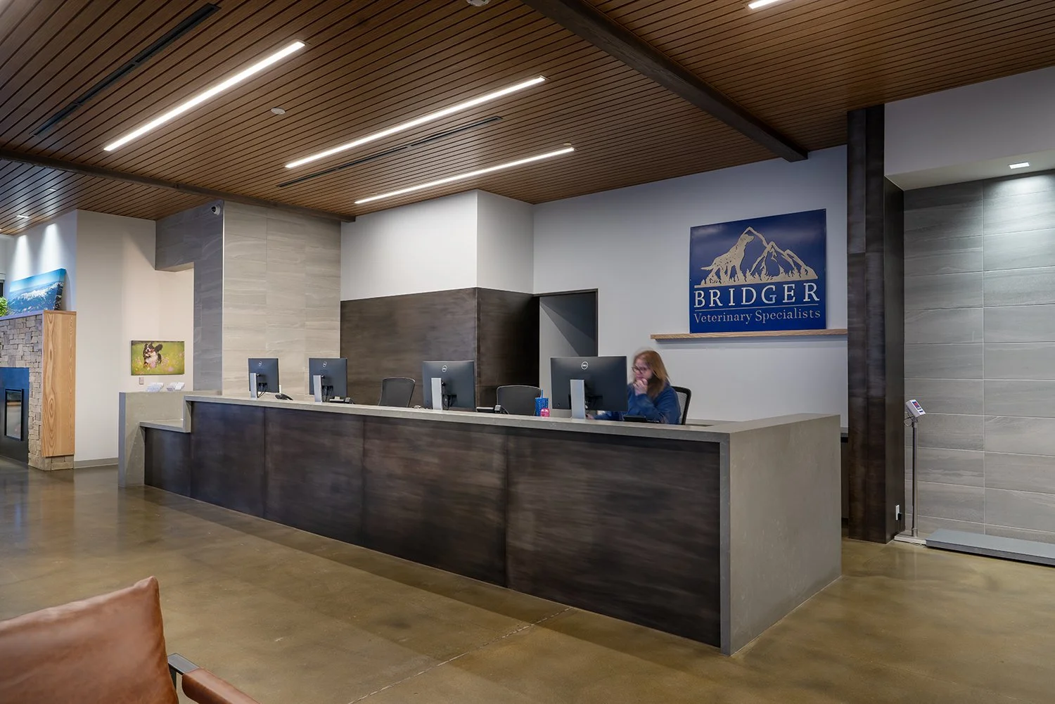 Bridger Veterinary Specialists, Montana — Augustine Design Group