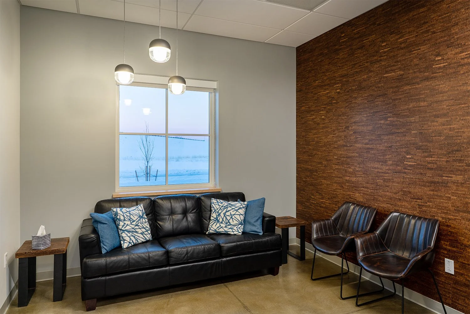 Bridger Veterinary Specialists, Montana — Augustine Design Group