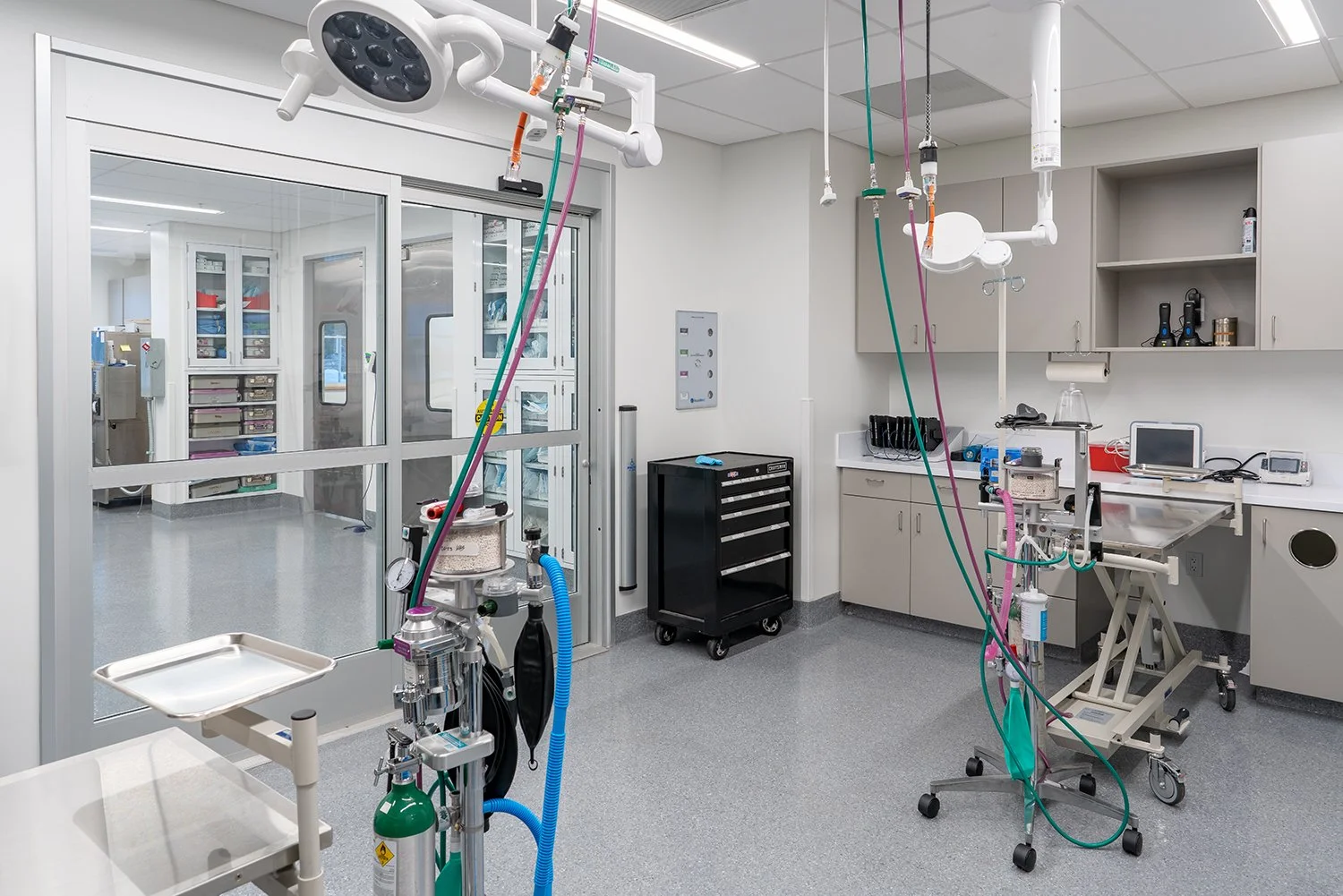 Bridger Veterinary Specialists, Montana — Augustine Design Group