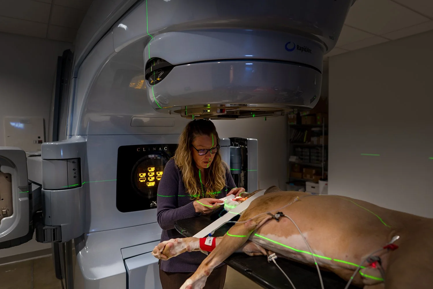 Bridger Veterinary Specialists, Montana — Augustine Design Group