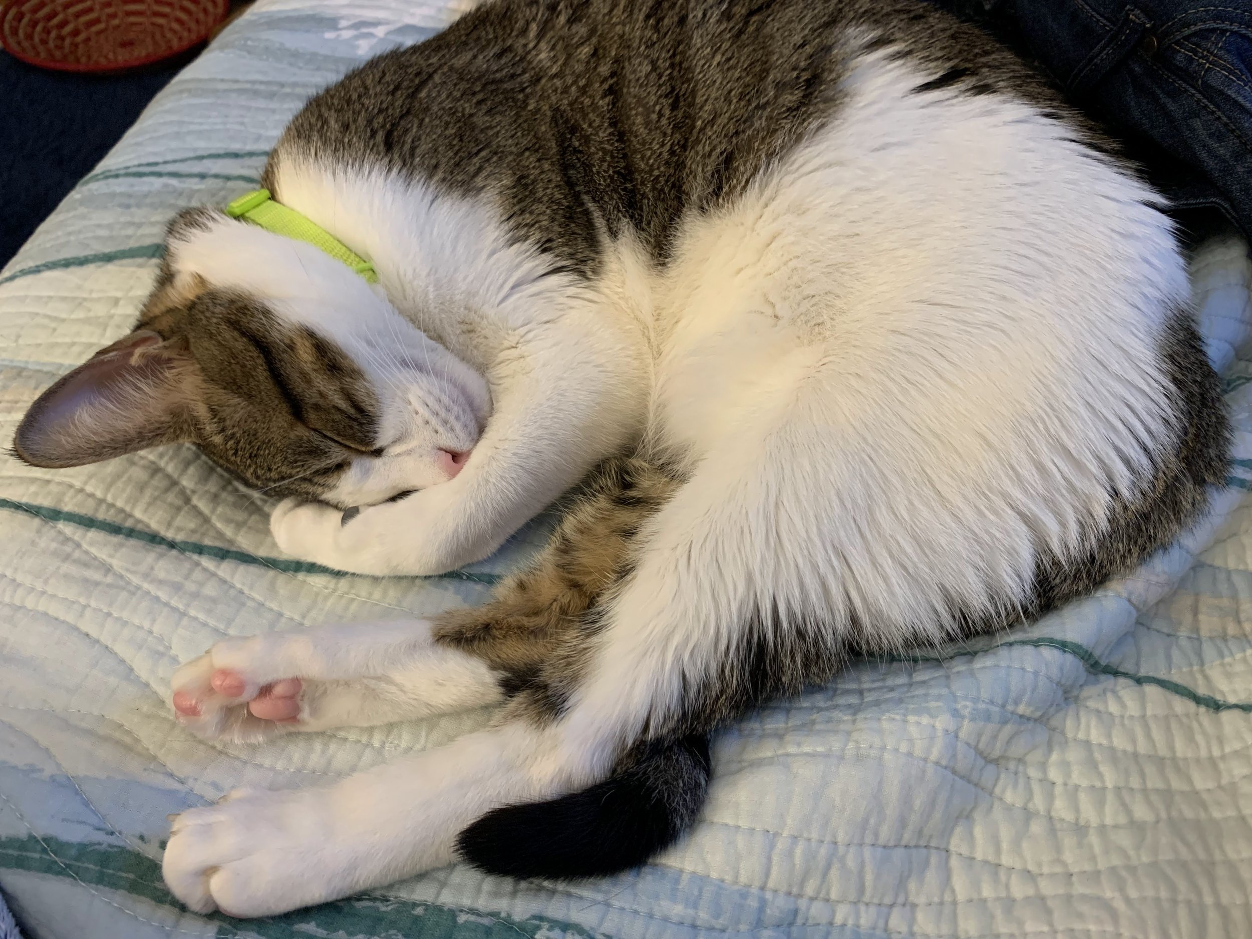 The Kind of Tired that Sleep Can’t Fix