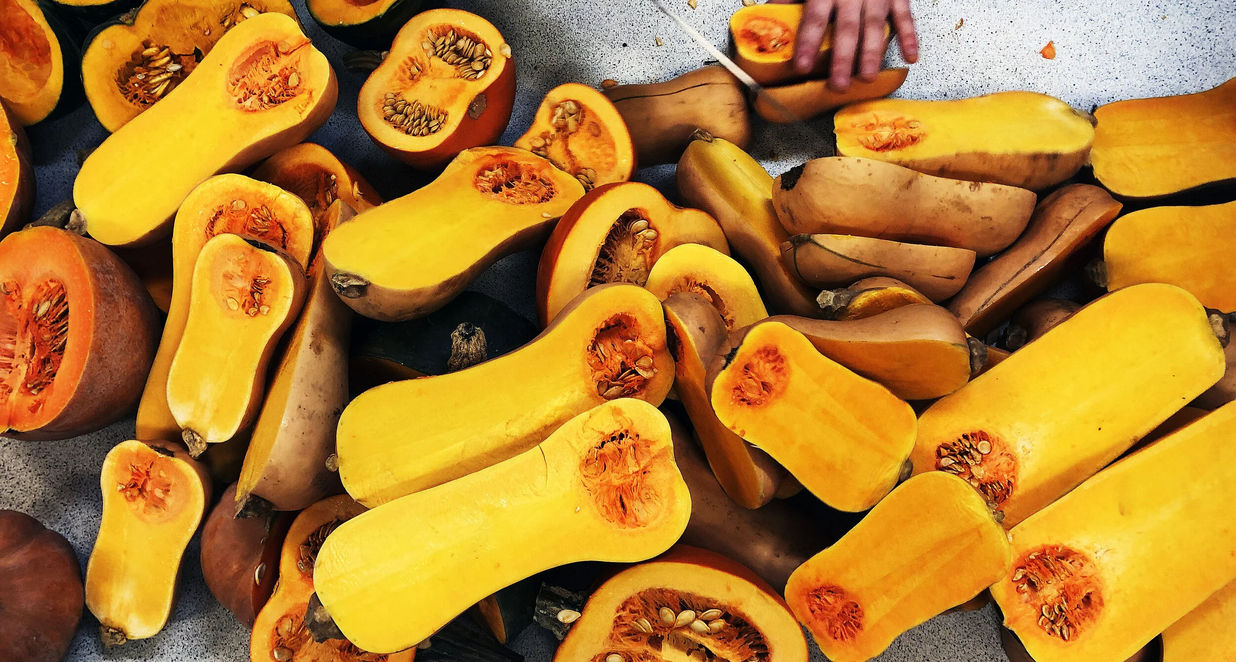 Étalage de courges et légumes de saison au Marché Ferme Beaulieu à Waterville