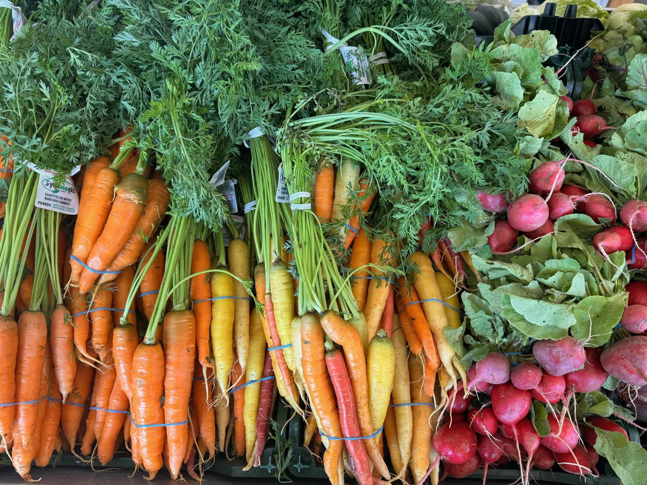Étalage de légumes biologiques locaux de saison