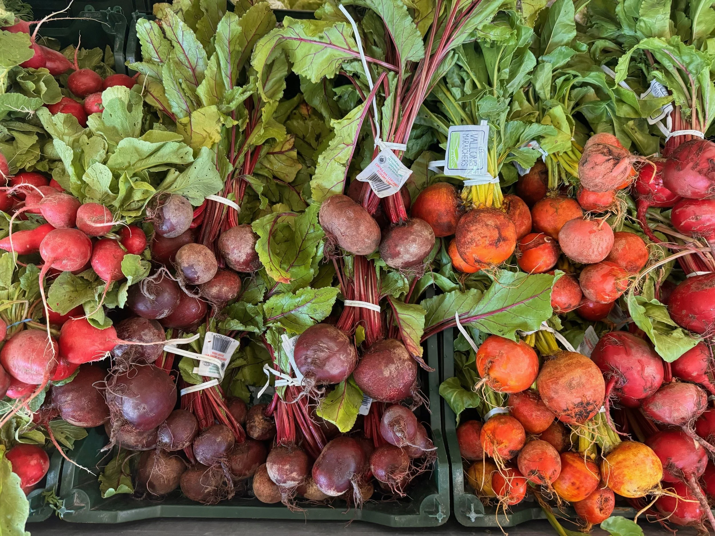 Étalage de légumes biologiques locaux de saison
