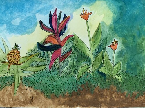 “Eran baños con flores, cortezas de árboles, plantas aromáticas….”  Ilustración de Ani Ventocilla King