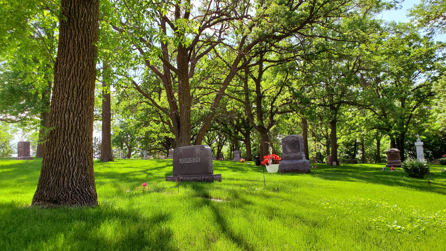 Graves lie under under beautiful shade trees.