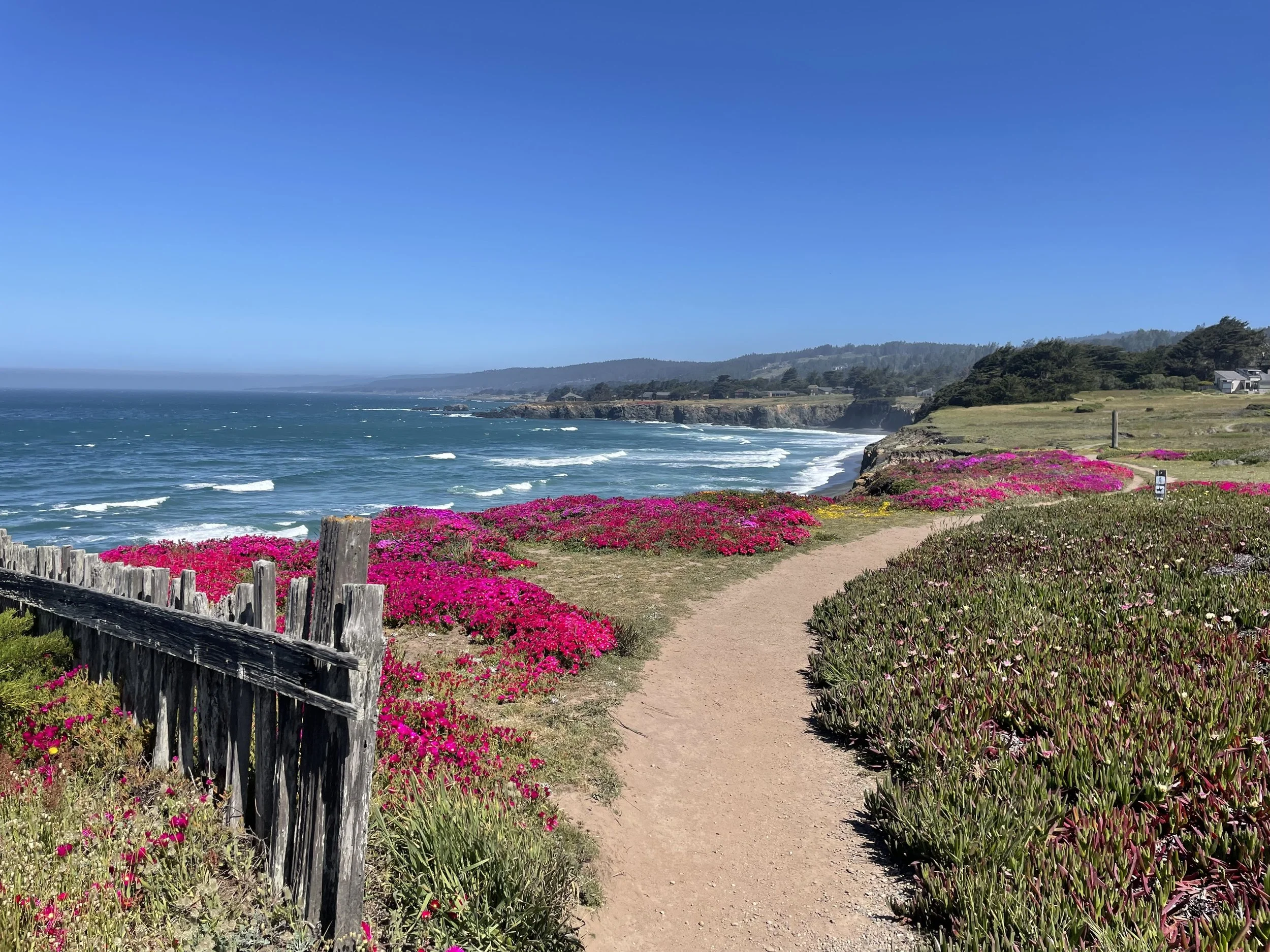 Elemental Awakening 3-Day Immersion