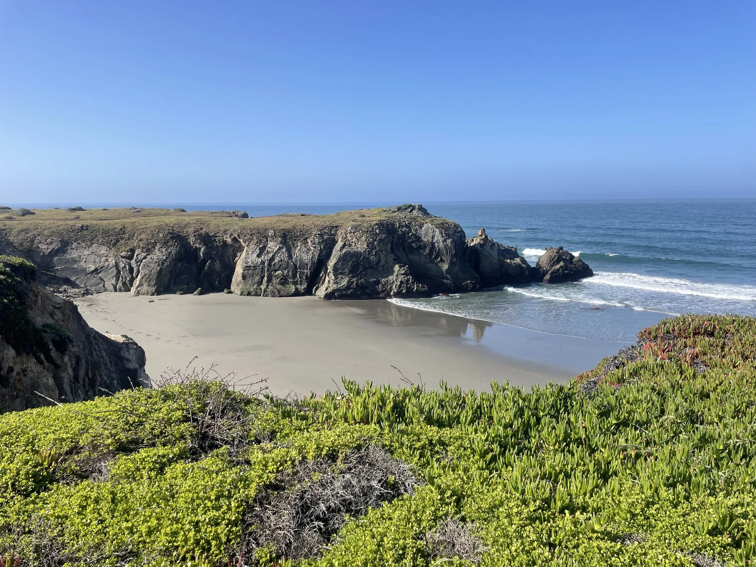 OceanView Iceplant.jpg