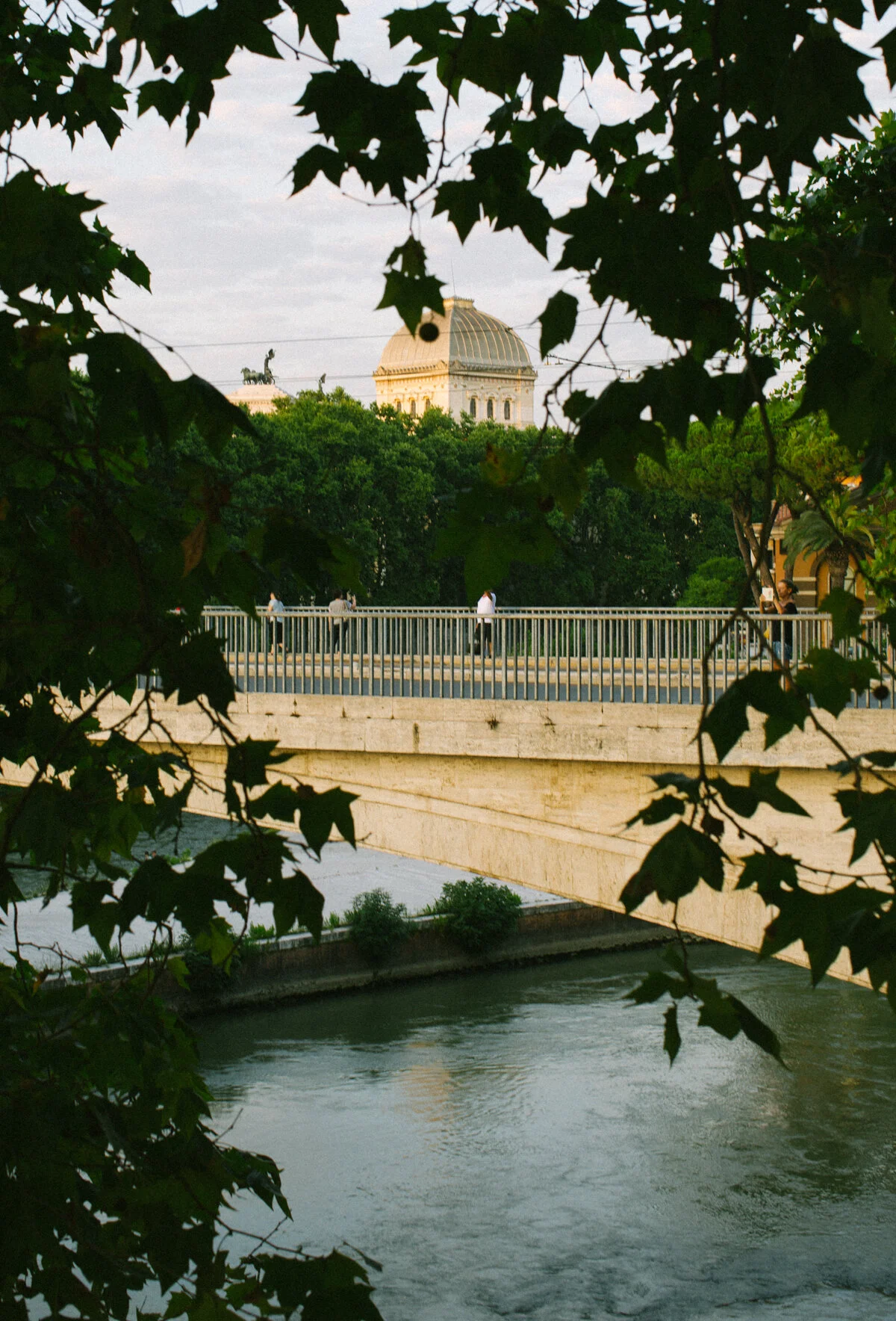 3Q6A3242-2-2.jpg