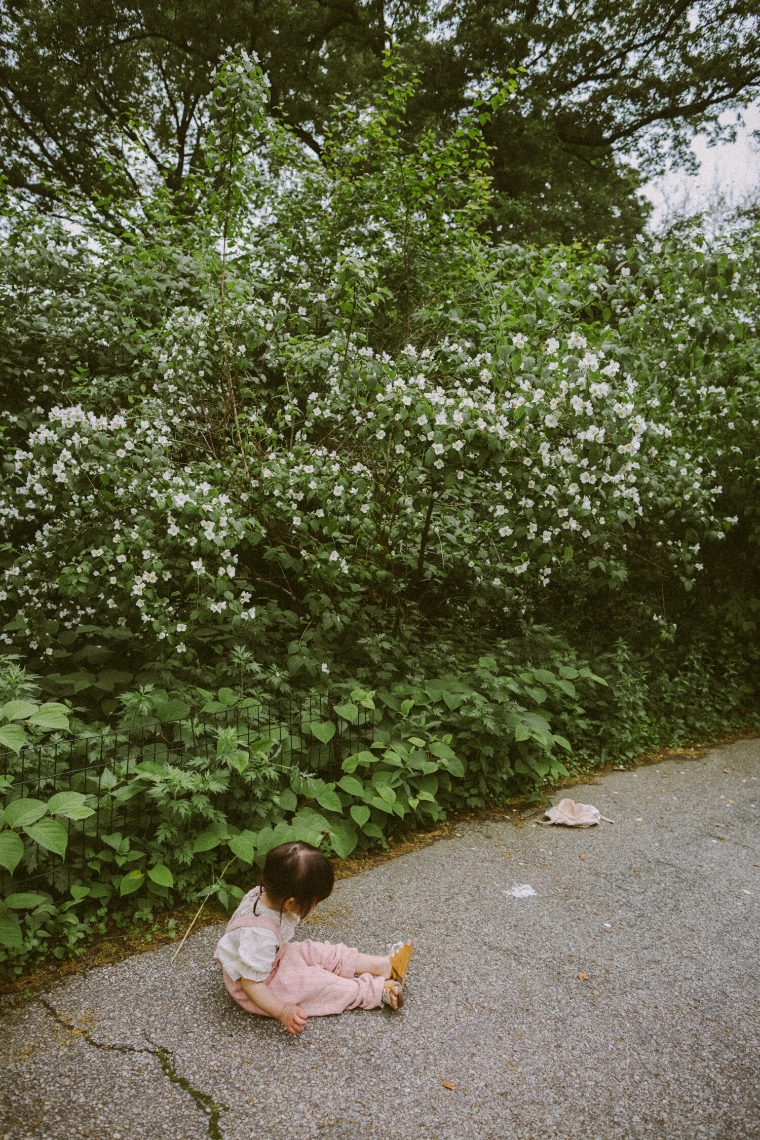 Xiyu-190530033.jpg