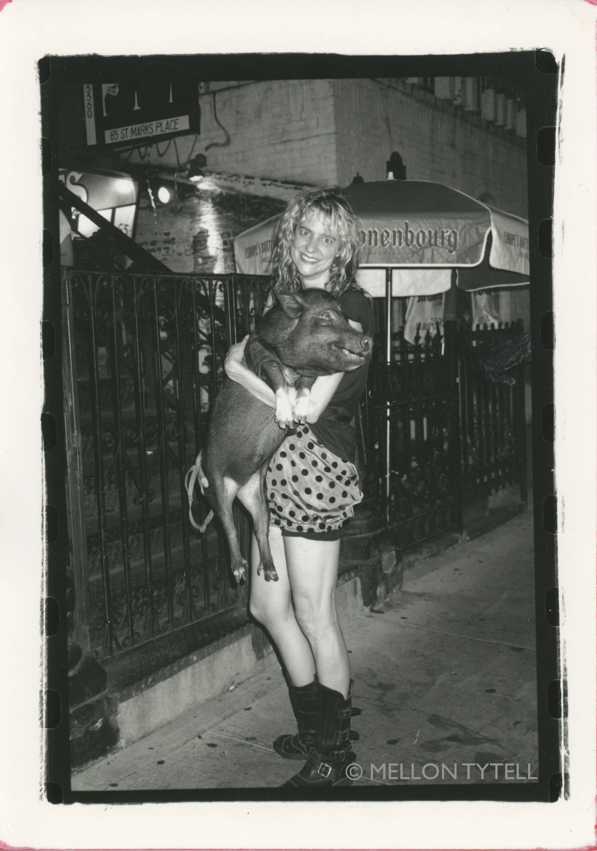 Be cheerful in 2019 - Year of the Pig.