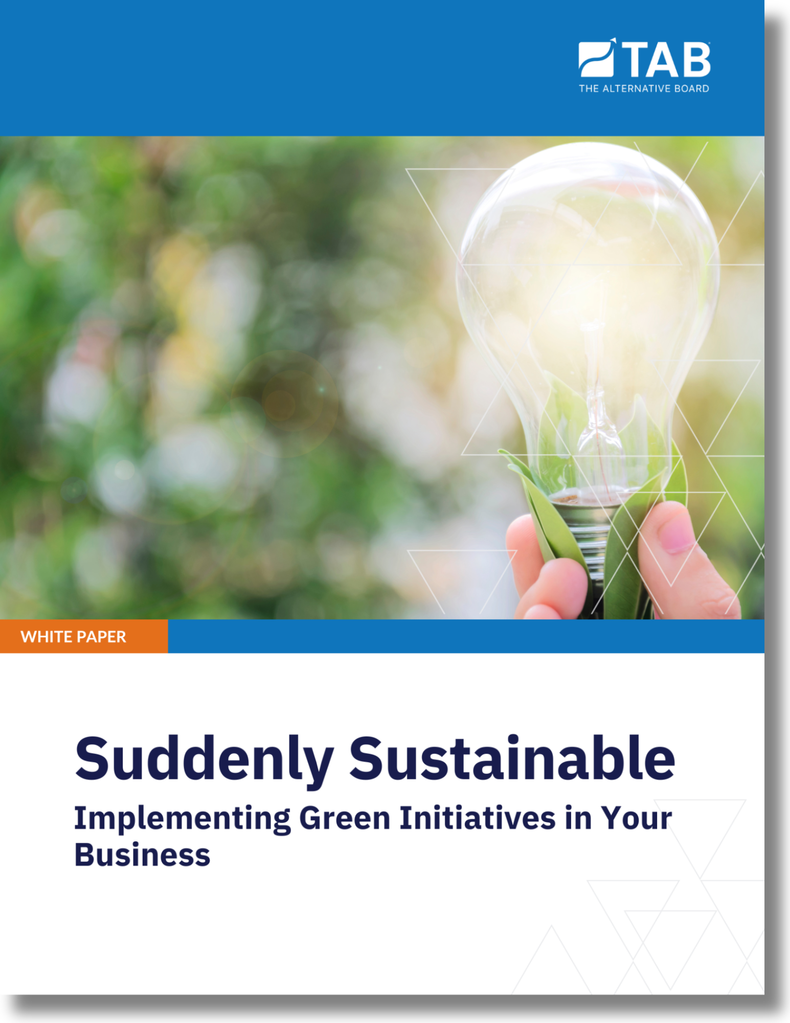 TFTT November 2024 - White Paper Image.png