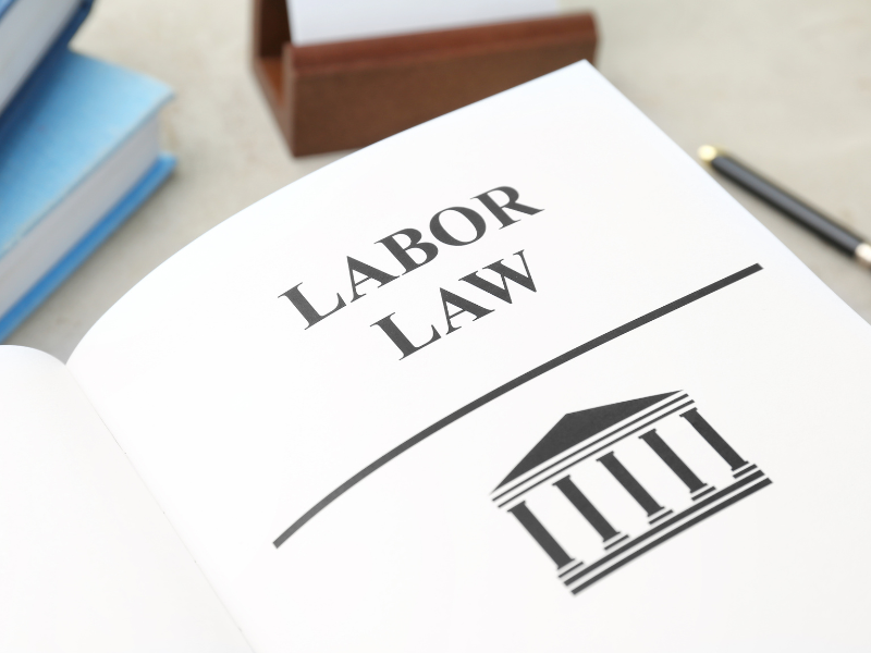 Employers rights under labour laws