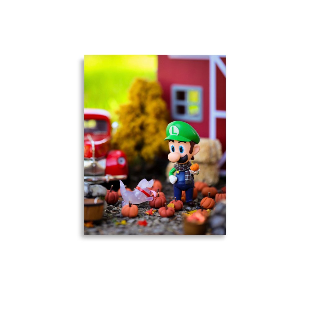enhanced-matte-paper-poster-(in)-11x14-front-6ac2a26362b2f.jpg