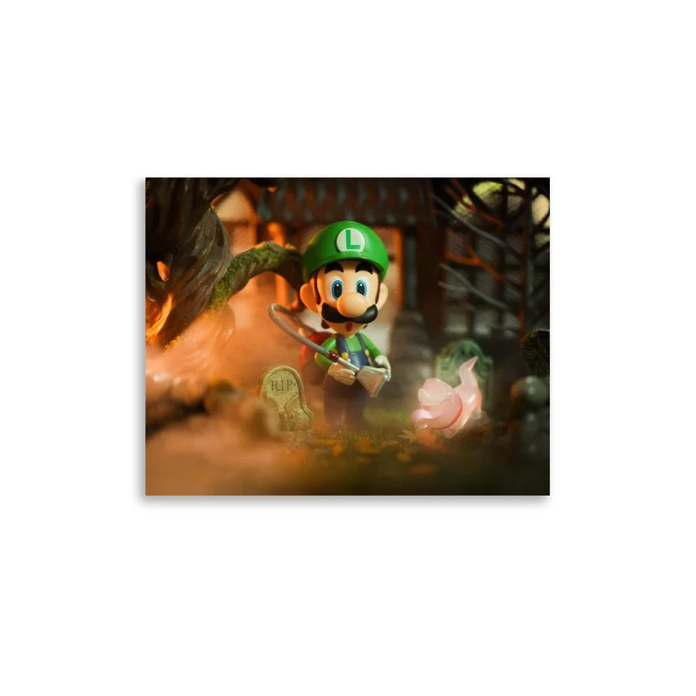 enhanced-matte-paper-poster-(in)-11x14-front-6ac2a4aae4534.jpg