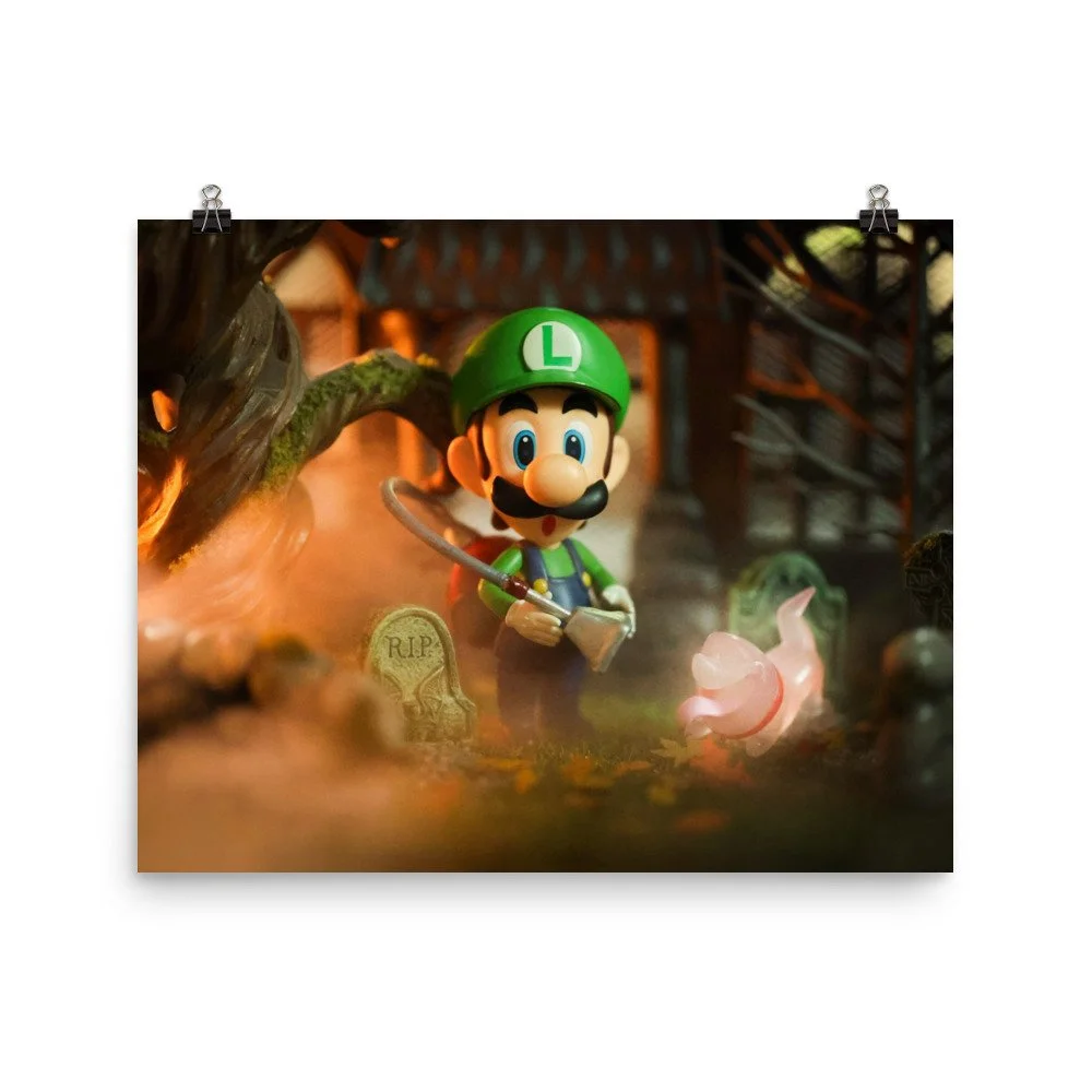 enhanced-matte-paper-poster-(in)-16x20-transparent-6ac2a4aae358c.jpg