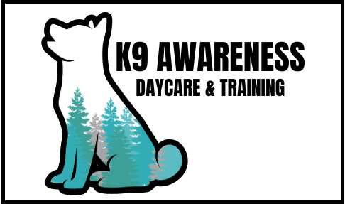 K9 Awareness