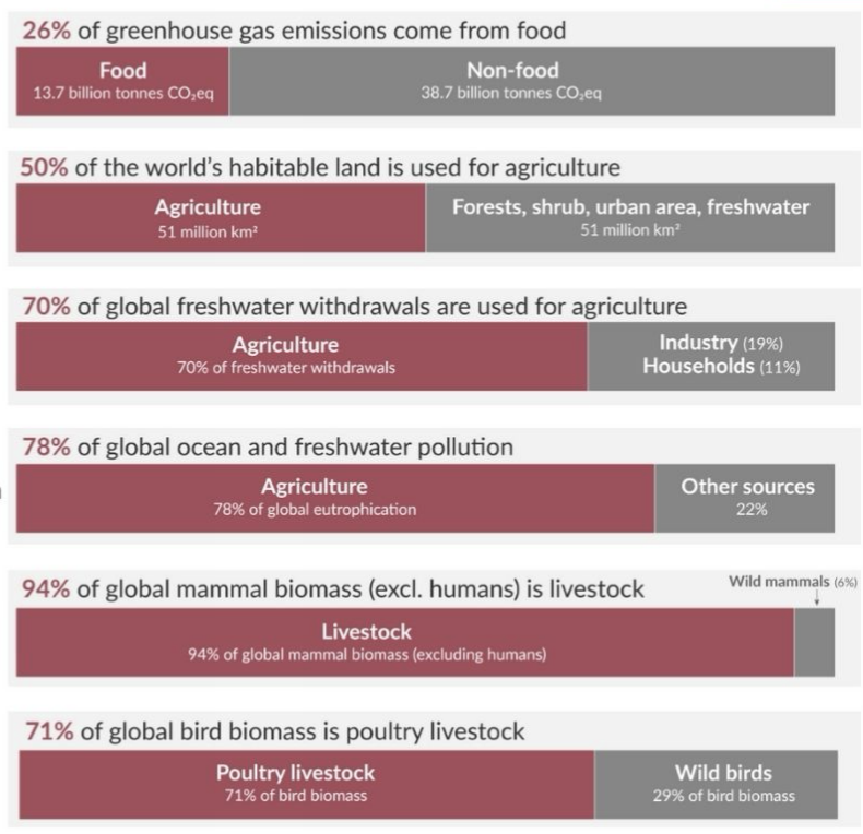 Watch Industry Leaders Discuss Sustainable Hospitality and Tourism 