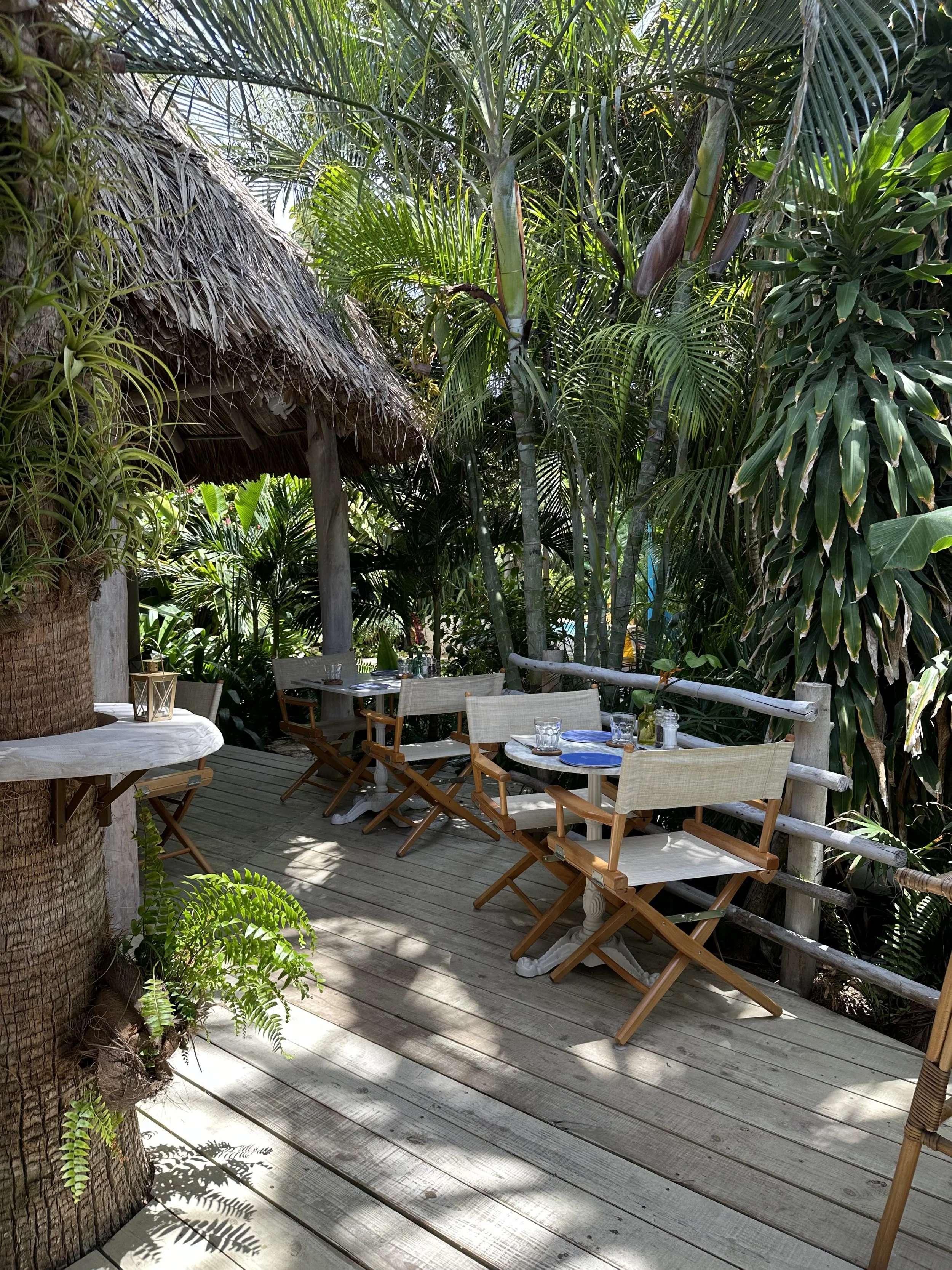 Highlighting the World's First Five Vegan Hospitality and Tourism Certified Hotels