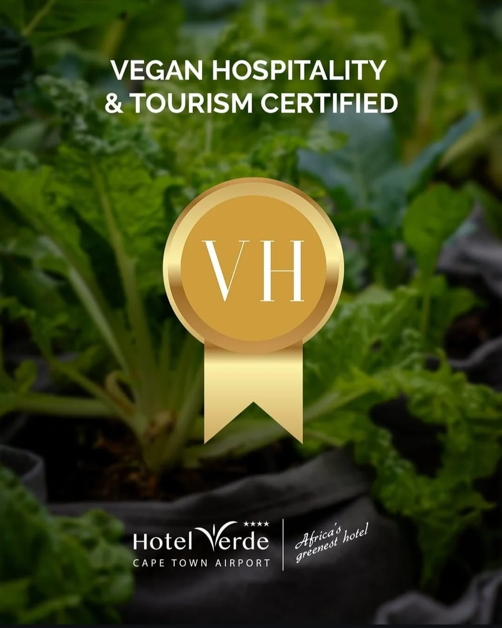 Hotel Verde VH.jpeg