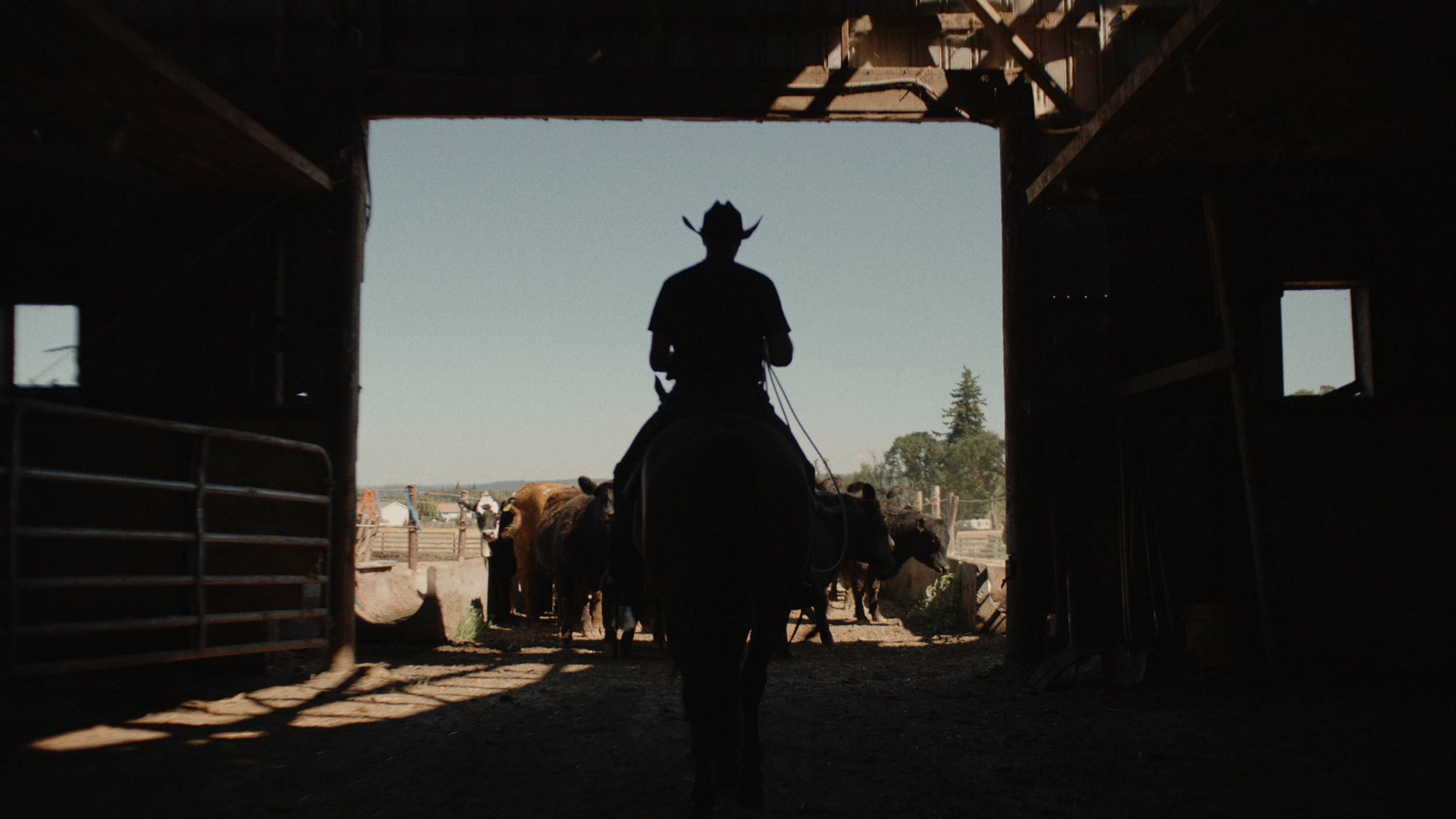 Screen Shot 2021-08-26 at 4.54.35 PM.png