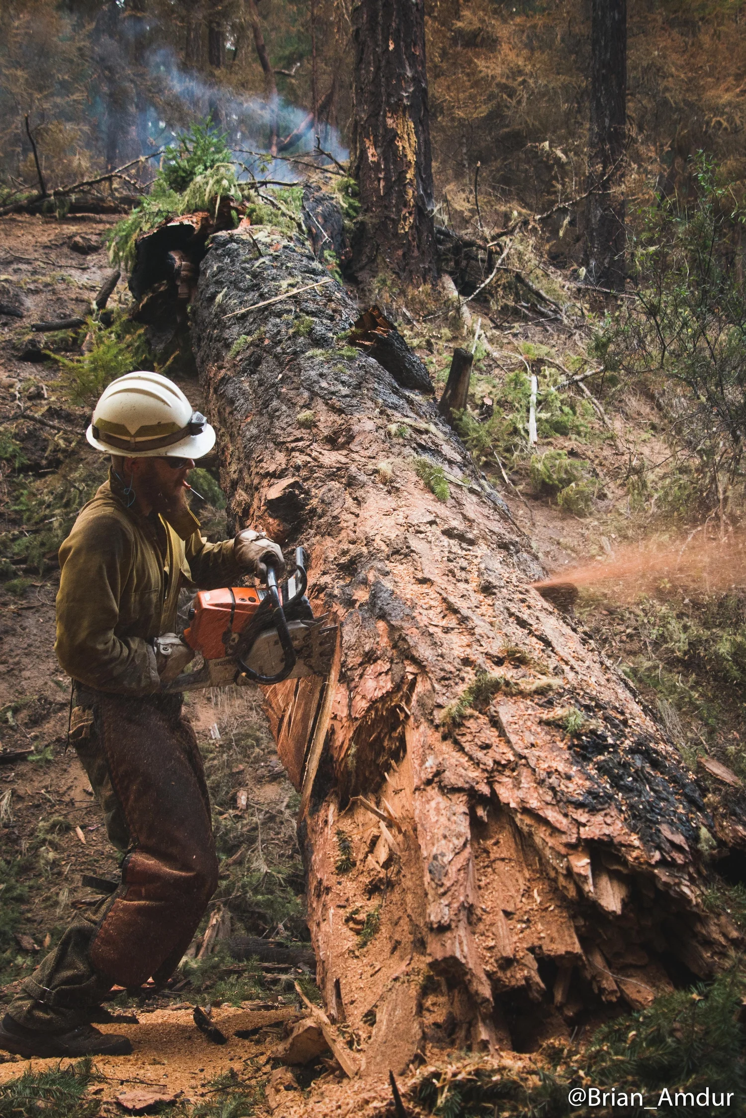 Wildland Firefighting Wildfire Training Group Llc