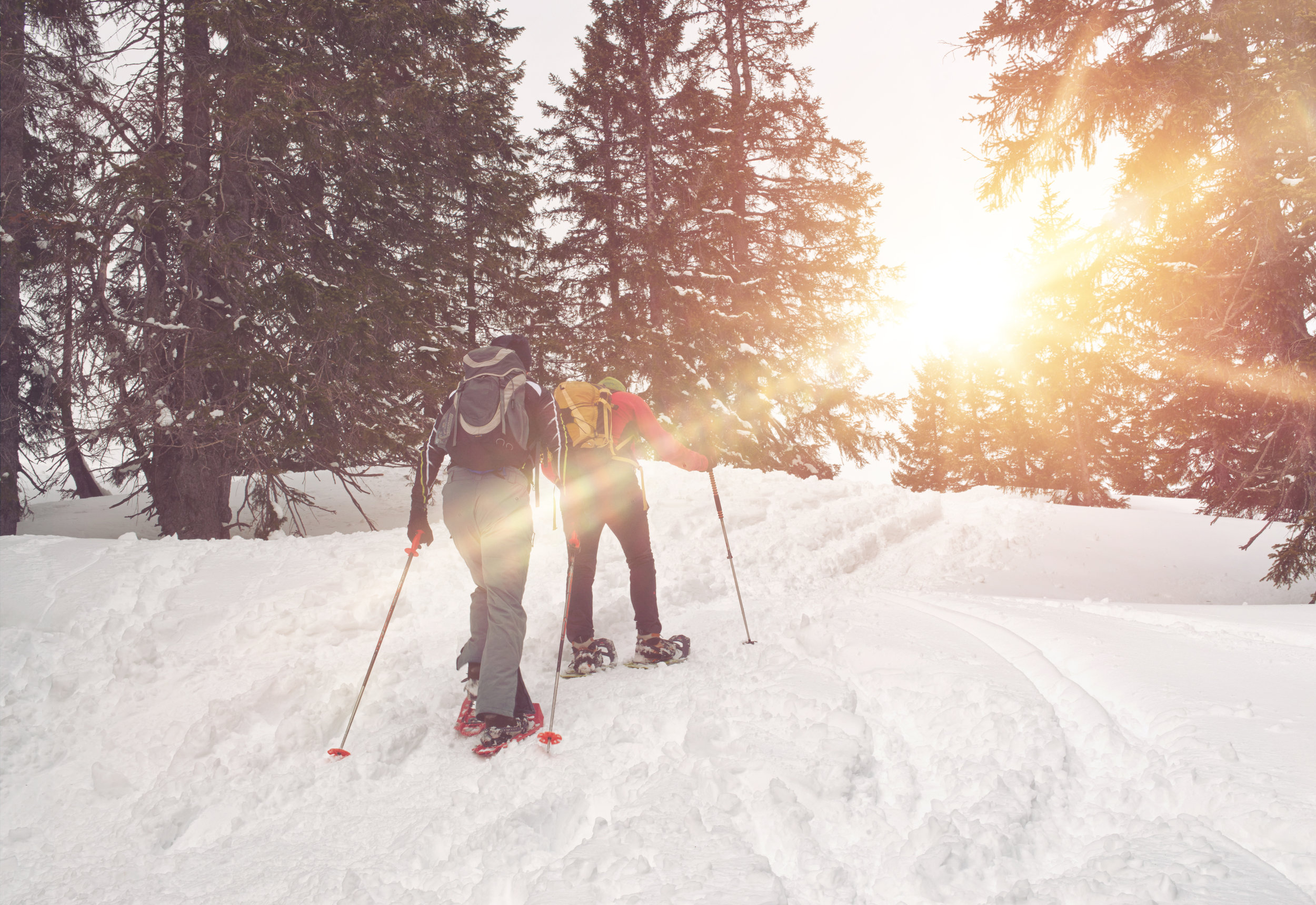 Snow Shoes.jpeg