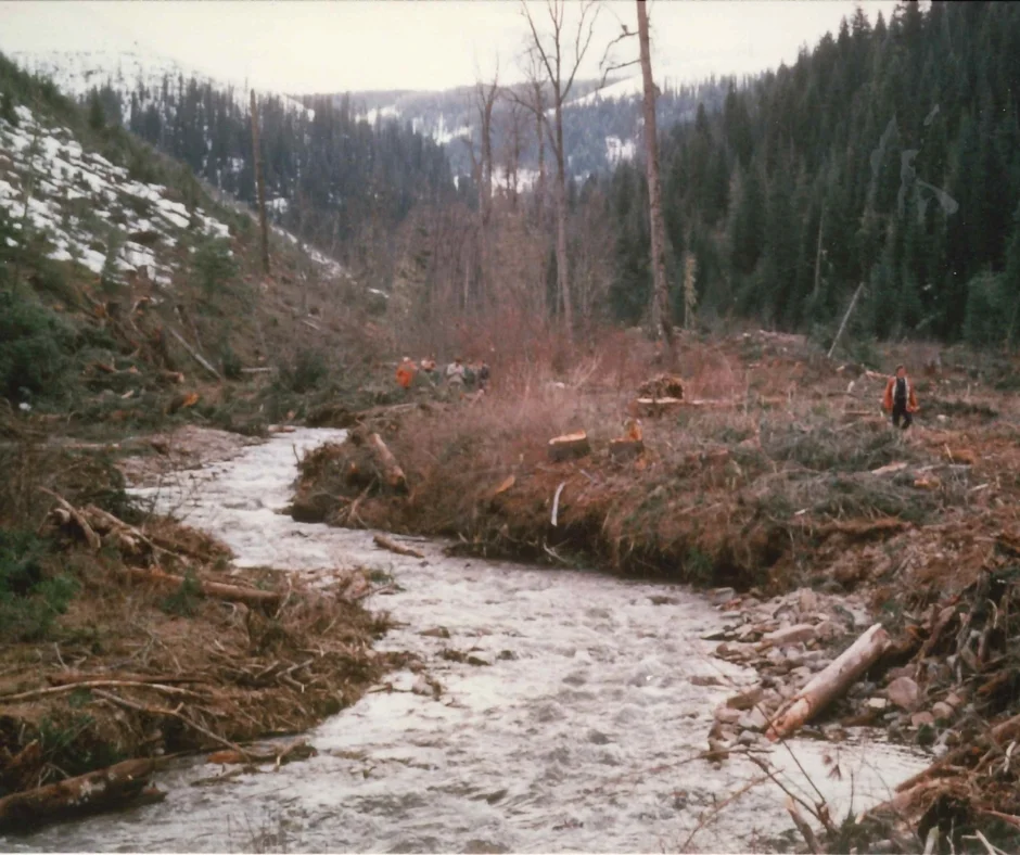 We organized to protect our wild lands.