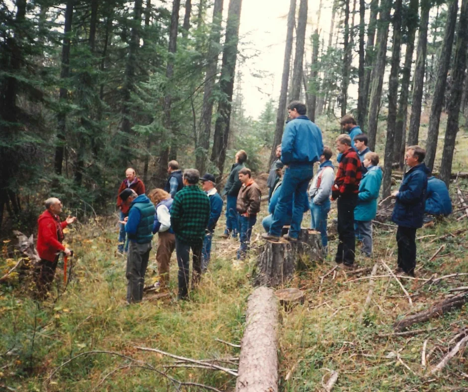 Teaching citizens to challenge illegal logging.