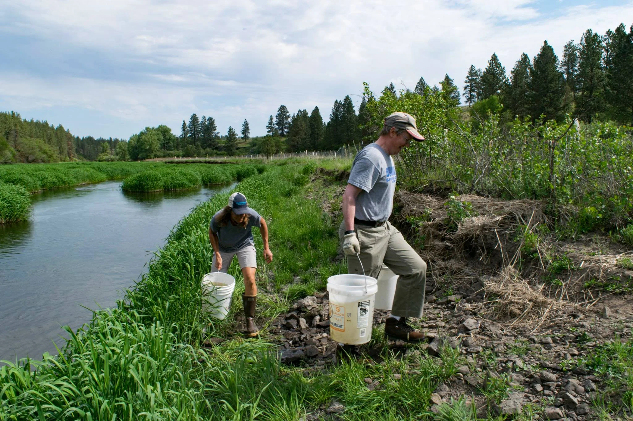 Our volunteers plant and maintain thousands of trees, participate in community events and gatherings, and work to promote the Lands Council’s mission.