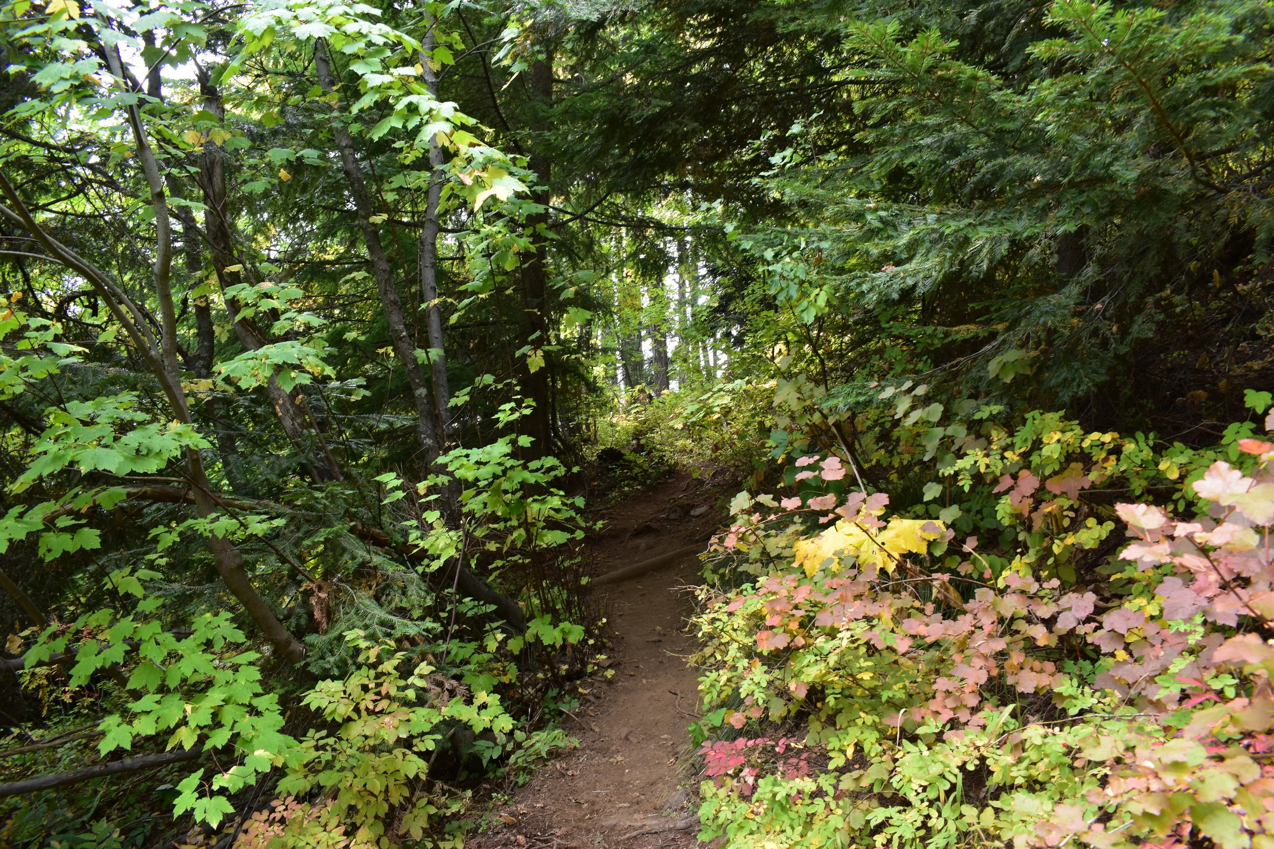 DSC_0069 (1).JPG