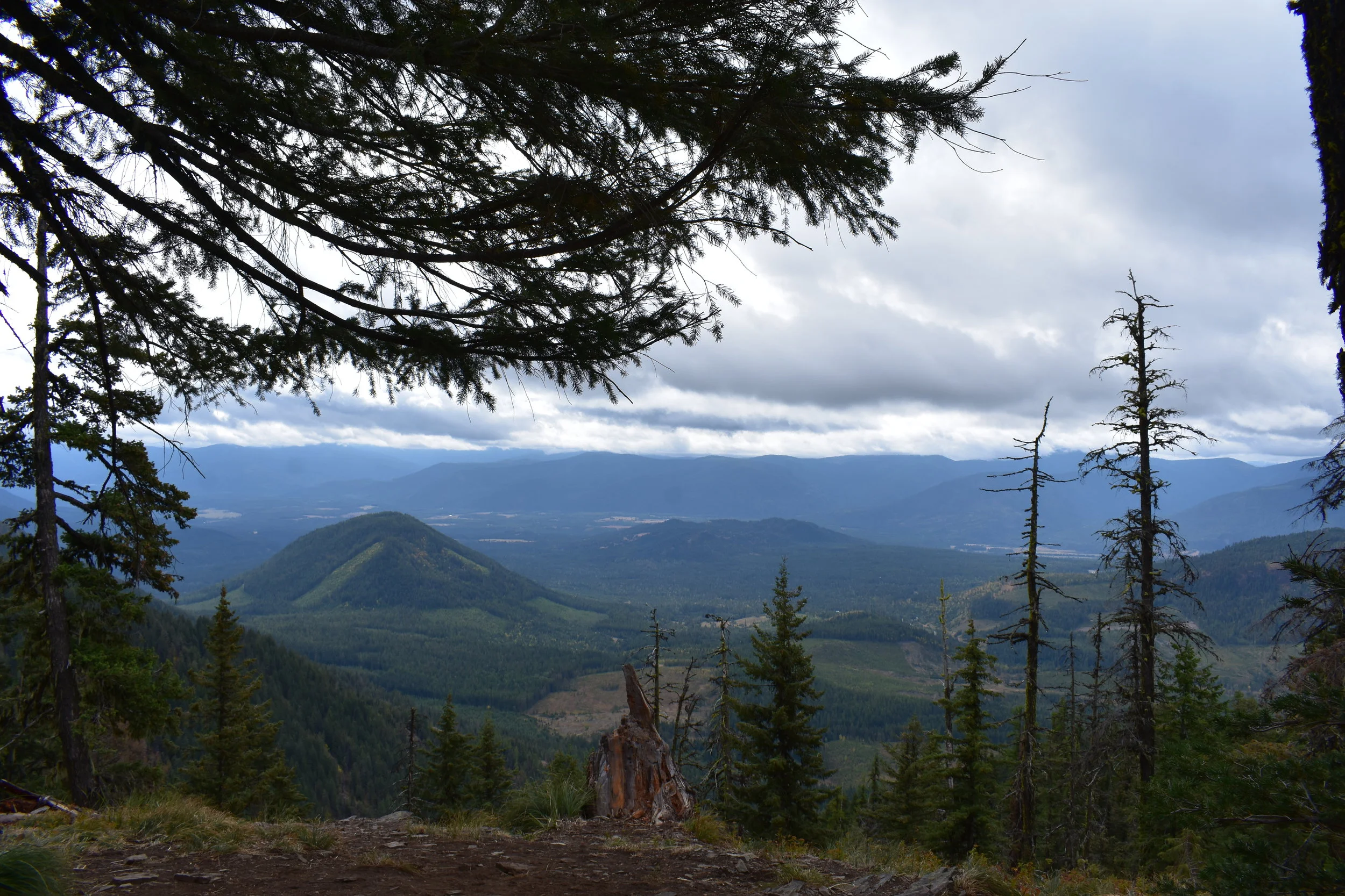 DSC_0122 (2).JPG
