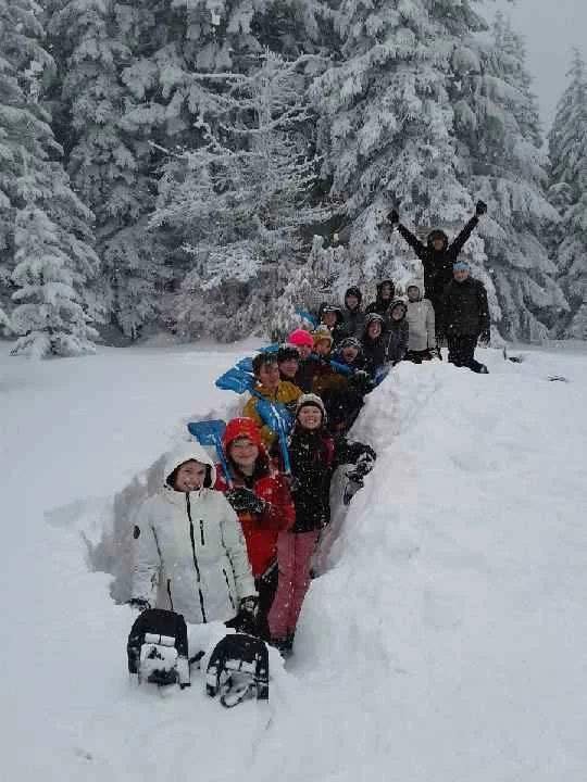Snow Science Random March 2018 (14).jpg
