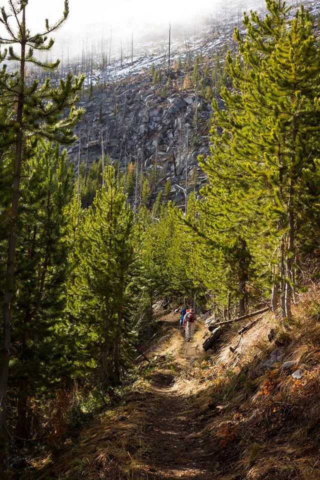 4th annual Copeland Trail Hike (2).jpg