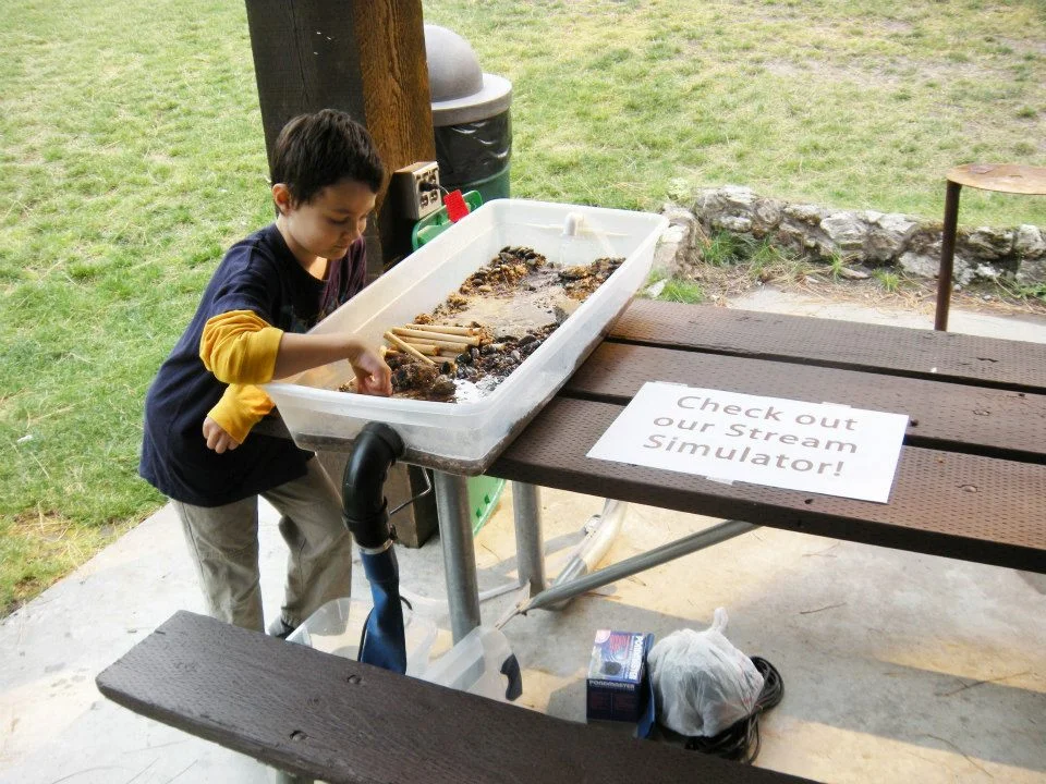 Beaver Program (10).jpg
