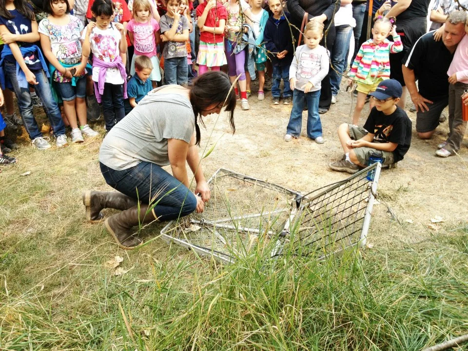 Beaver Program (16).jpg