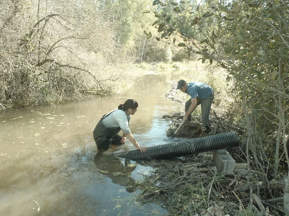 Beaver Program (46).jpg